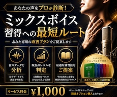 発声特訓！読んで実践！ミックスボイス習得させます プロがミックスボイスを習得に必要な知識を解説した資料を提案！