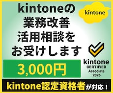 kintoneの業務改善・活用相談をお受けします 単発30分のビデオ相談で課題整理・改善方法をご提案します