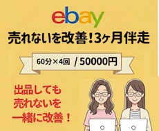 eBay「売れない」を改善！ 3ヶ月伴走します 商品リサーチ・出品改善・売れるための戦略を一緒に見直します！
