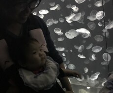 お子様を健やかに育てる方法占います お子様の長所短所を知りつつ、どのように接してあげれば良いか