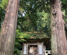 おかげさまパワー！あなたの代わりに神社に参拝します あなたのお名前の龍体文字カードを持って神社に参拝