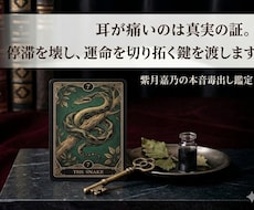 あなたを縛る執着を特定し、心の本音を毒出しします