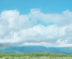 全力で応援します イメージ1