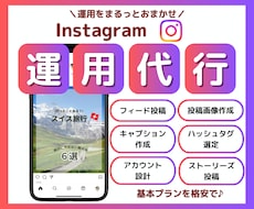 30日間インスタグラム運用代行をいたします 集客実績あり⭐︎SNS運用代行/投稿/ストーリーズ/リール