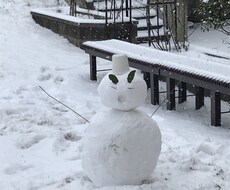 腰や膝など、身体の不調の相談にのります イメージ1