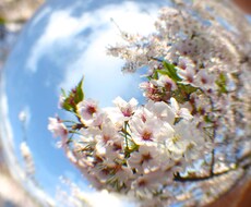 あなたの問題解決に必要なメッセージをお届けします イメージ1