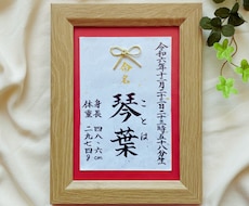 2L命名書_水引(叶結び)付き｜毛筆でお書きします イメージ1