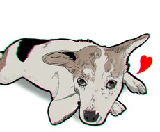 あなたの大切なペット（犬・猫）描きます イメージ1
