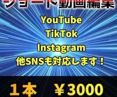 60秒以内のショート動画作成します イメージ1