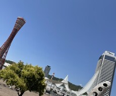 なんでも聞きます
