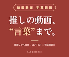 推しの韓国YouTube動画、字幕付きで翻訳します SRT字幕+テキスト納品！韓国動画をスピード翻訳