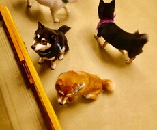 トークルームであなたを癒します イメージ1