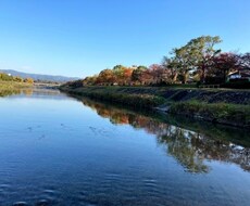 あなたの悩み聞きます イメージ1