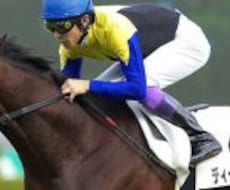 競馬の買い方のアドバイスを致します