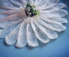 家庭での刺身の作り方教えます イメージ1