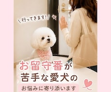 愛犬のお留守番、不安なお気持ちお聞きしますます お留守番が苦手な愛犬を一緒にサポートします