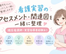 看護実習の記録・アセスメントを一緒に整理します イメージ1