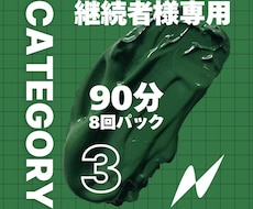カテゴリー3　90分×8回分英語レッスンします VIP様専用の英語レッスンパックです