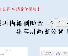 事業再構築補助金の事業計画書記載例をご提供します これで事業計画書１ページ目と収益計画がわかる！