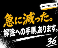 Xのシャドウバン解除方法をお伝えします 解除への手順と再発防止策をPDFにまとめています