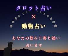 タロット×動物占いで深掘り鑑定！背中を押します