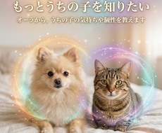 オーラから、うちの子の気持ちや個性教えます なぜそんな行動をするの？その子らしさや心の反応を読み解きます