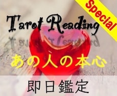 同業者さま専用・ALLジャンルのタロット占いします よく当たる！占ってもらってよかった！と言われております！