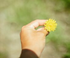 どうすれば良いかわからないけど辛い→聞きます イメージ1