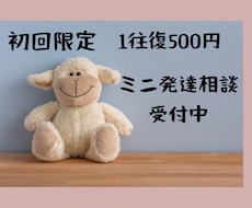 初回限定・お試し500円☆ミニ発達相談できます イメージ1