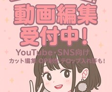 Youtube SNS向け動画編集承ります イメージ1