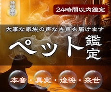 ペット鑑定 | 虹の橋の大事な家族の声を届けます あの子が伝えたい言葉、伝えられなかった思いを私が代筆します。