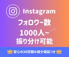 Instagramフォロワー2000人〜拡散します 2000人〜から大規模まで拡散可能！振り分けも可能！