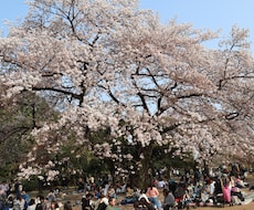 あなたの心に残るフォトをお届けします イメージ1