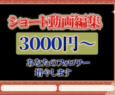 プレミアプロでSNS動画ショート動画お作りします イメージ1