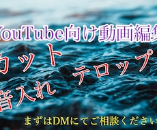 格安でYouTube向けの動画編集承ります イメージ1