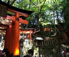 対人関係、社会、恋愛、愚痴を溢したい貴方へ。 イメージ1