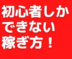初心者だけの【特権】を生かして稼ぐ方法を教えます 【初心者限定】成功する前に読んでほしい！私の原点を教えます