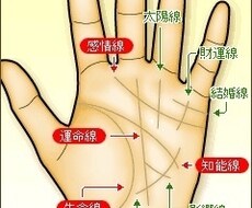 手相と数秘術からあなたの全てをみます 手相✖️数秘術でより深く追求していきます。