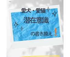 愛犬・愛猫の困った行動や心の悩み読み解きますます イメージ1
