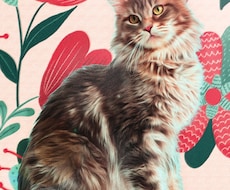 猫、犬などペット写真合成加工します 猫、犬、インコ、動物ペットの写真をイラスト風に加工します♪