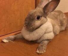 何かしらの悩みを持ち苦しんでいる方、励まします イメージ1