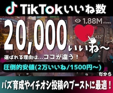 TikTokいいね+10,000回増やします イメージ1