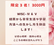 限定３名！WISC‐Ⅳ・Ⅴ結果の生かし方教えます イメージ1