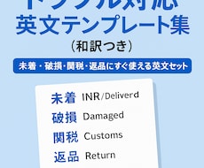 eBayトラブル対応英文集和訳つきコピペ可教えます 未着・破損・関税・返品にすぐ使える英文セット