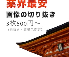 画像の切り抜き・背景色変更をします 業界最安！3枚500円から〜迅速・高クオリティでお届けします
