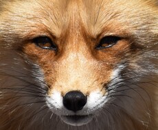 あなたの抱えるお悩み、本物の霊能力で一掃いたします 当たり障りのない鑑定で人生を停滞させるのはもうやめませんか？