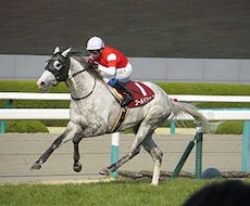 中央競馬予想します