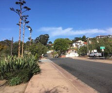 カリフォルニア生活、アメリカ留学の情報提供します イメージ1