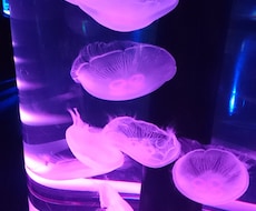 悩み相談、雑談、愚痴聞きます イメージ1