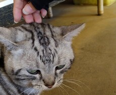 パニック障害で悩んでる方のお話を聞きます イメージ1